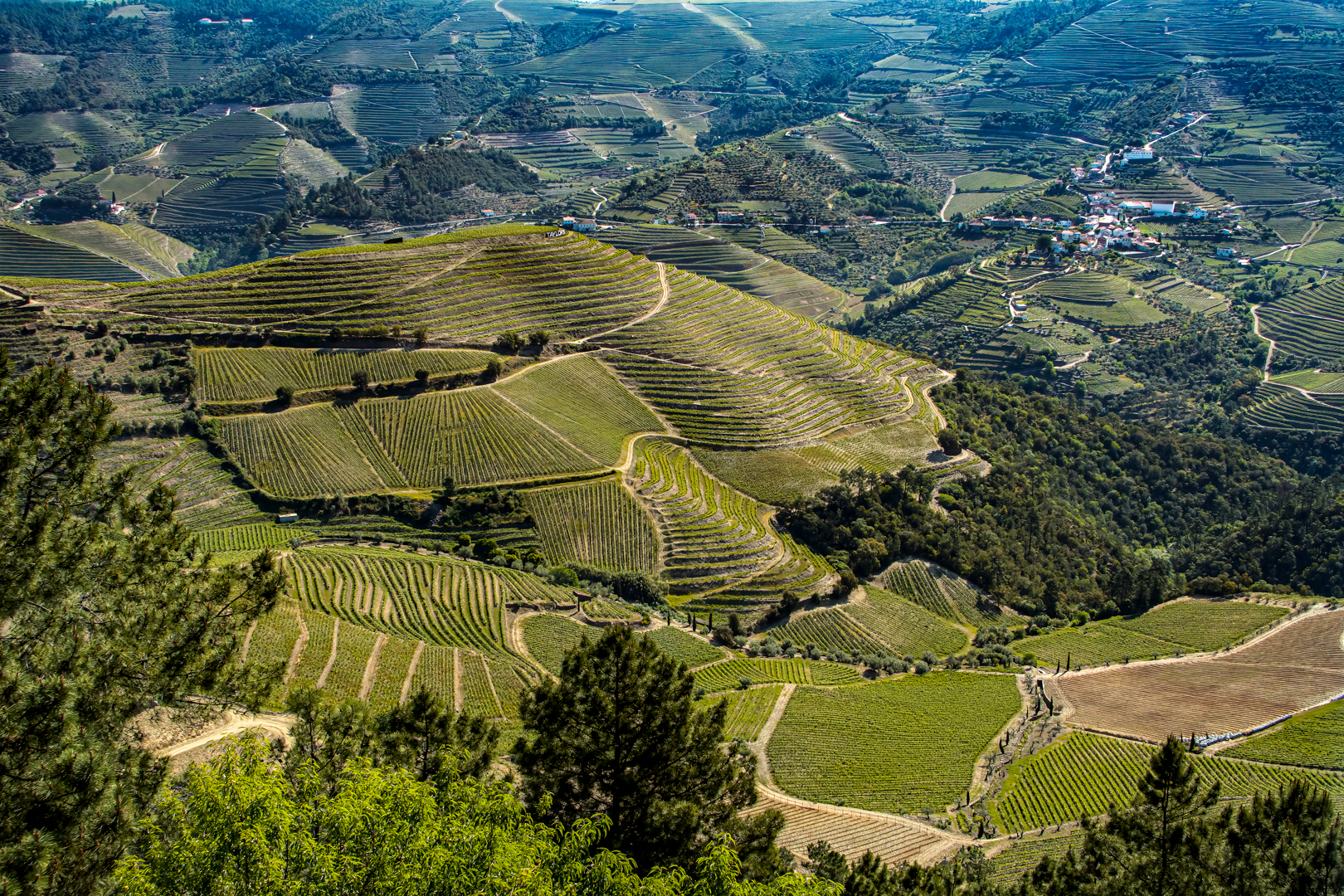 Vincent Filteau – Portugal Winery – HM