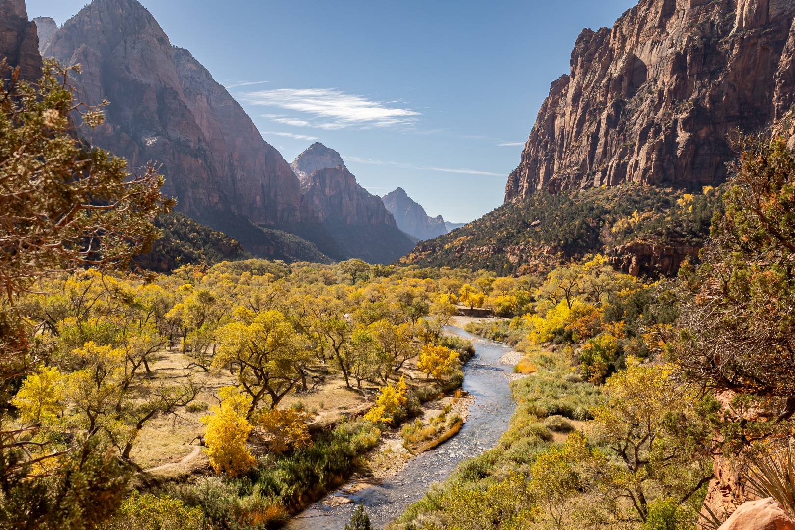 Janice Perkins – Fall in Zion National Park – 3RD